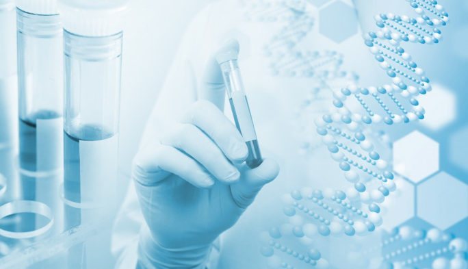 DNA 조상 검사 이해하기 표지